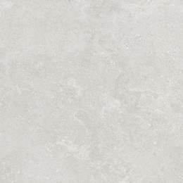 Ashcombe Greige Porcelain Wall & Floor Tile PTV36 600X600mm